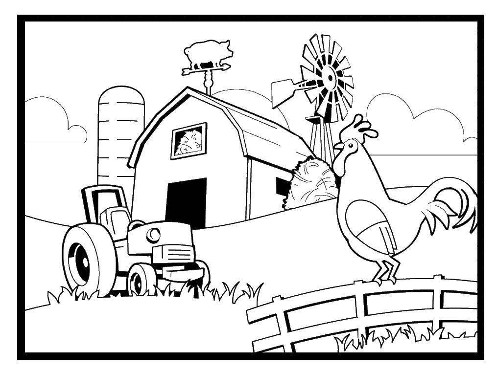 Coloring Farm. Category farm. Tags:  farm, cattle, tractor.