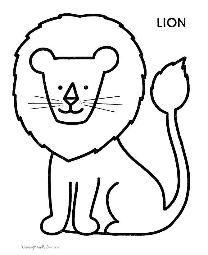Название: Раскраска Лев.. Категория: Животные. Теги: животные, лев, грива.