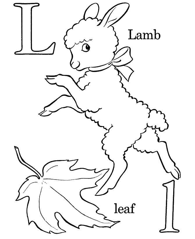 Coloring Sheet and the lamb. Category Coloring pages. Tags:  Teaching coloring, logic.