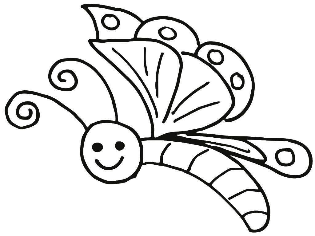 Coloring Cute butterfly. Category butterflies. Tags:  butterflies, kids, for kids, insects.