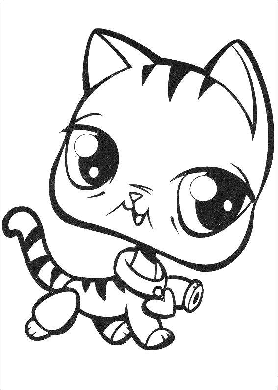 Coloring Cute cat. Category The cat. Tags:  animals, cats, cat.