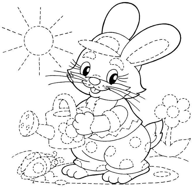 Coloring Trace the outline and paint a Bunny. Category fix on the model. Tags:  Pattern , stroke path.