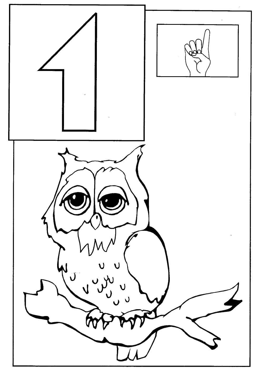 Coloring One owl. Category Learn to count. Tags:  Numbers , account numbers.