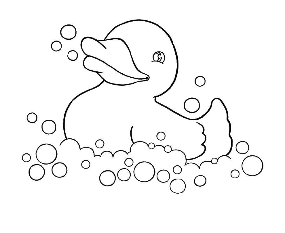 Название: Раскраска Резиновая утка. Категория: Ванная комната. Теги: утка, ванна.