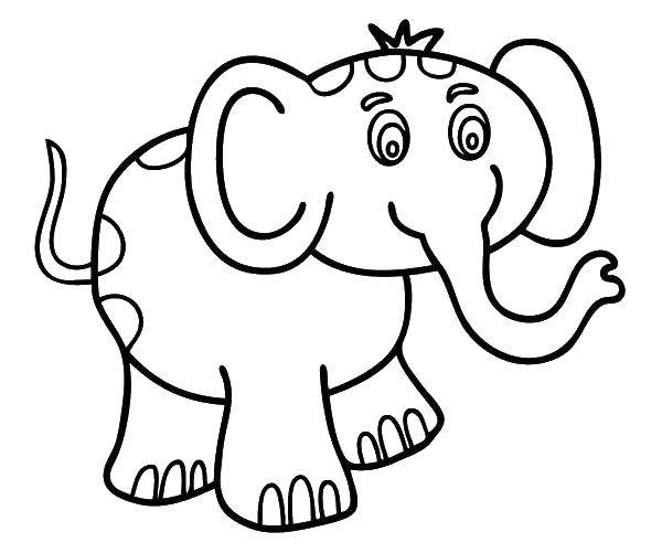 Название: Раскраска Слон с челкой. Категория: контуры слона для вырезания. Теги: Слон.