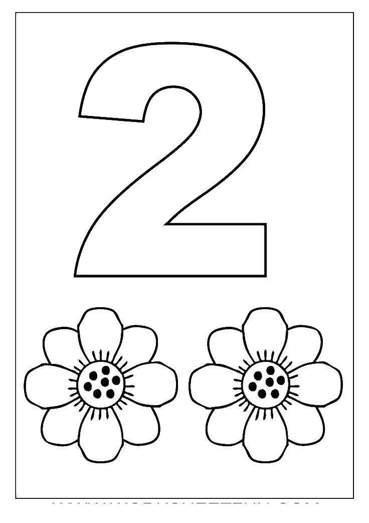 Название: Раскраска Цифра 2 и два цветочка. Категория: раскраски. Теги: 2, цифра, цветы.