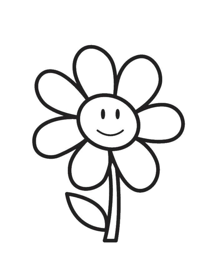 Coloring Flower. Category coloring. Tags:  Flowers, joy.