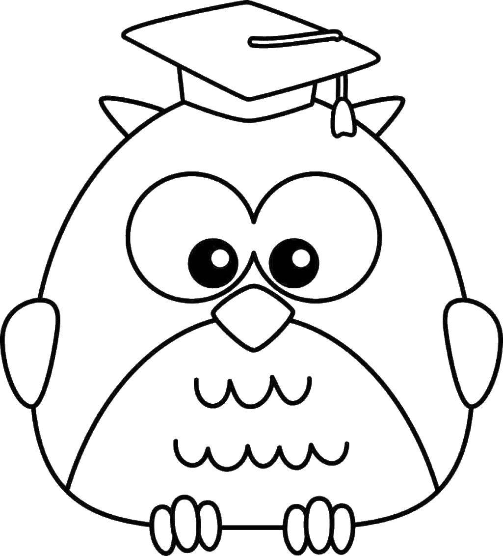 Coloring Academic owl. Category coloring. Tags:  Birds, owl.