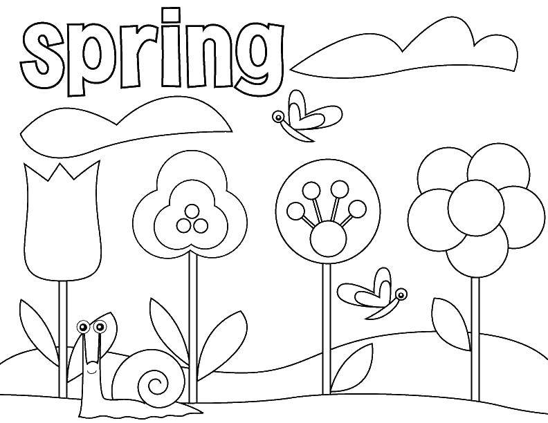 Coloring Snail and flowers. Category coloring. Tags:  snail, flowers.