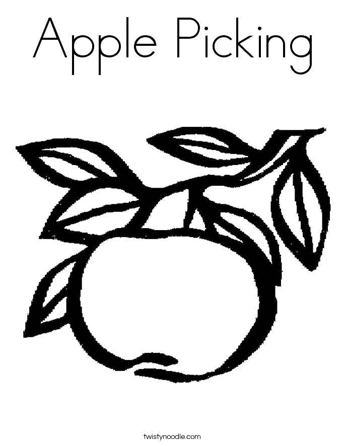 Coloring Apple on a branch. Category fruits. Tags:  fruit, apples, food.