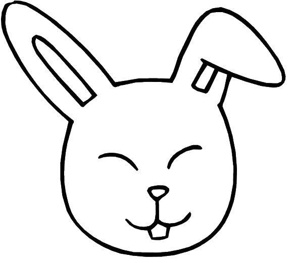 Coloring Bunny. Category Animals. Tags:  animals, rabbit, Bunny, ears.
