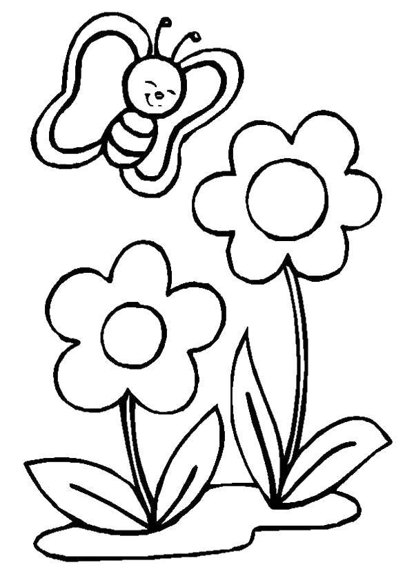 Розмальовки  Дві квіточки і метелик. Завантажити розмальовку малюкам, діти, квіти, метелик.  Роздрукувати ,малюкам,
