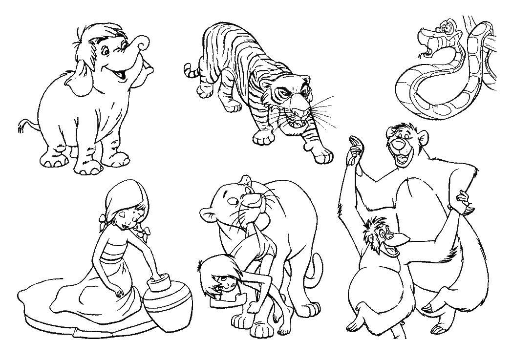 Розмальовки  Персонажі мультфільму мауглі. Завантажити розмальовку Мауглі, балу, шерхан.  Роздрукувати ,мауглі,