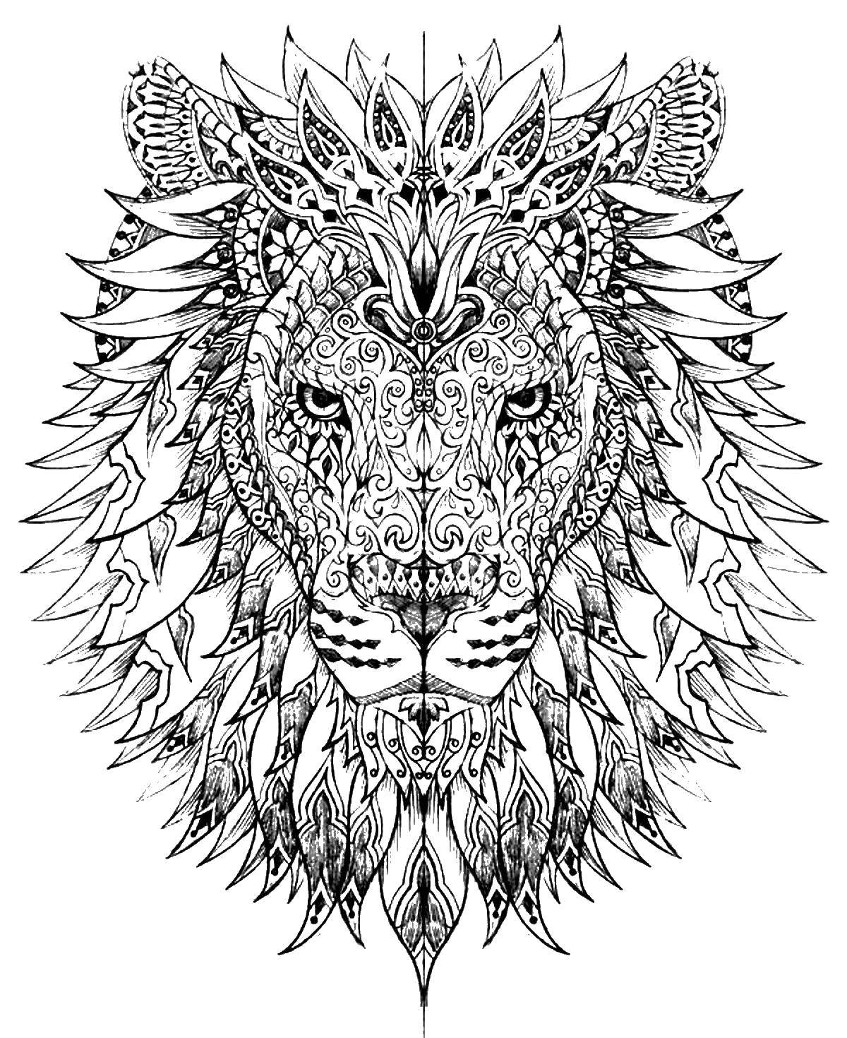 Розмальовки  Візерунковий лев. Завантажити розмальовку Візерунки, тварини, лев.  Роздрукувати ,візерунки,