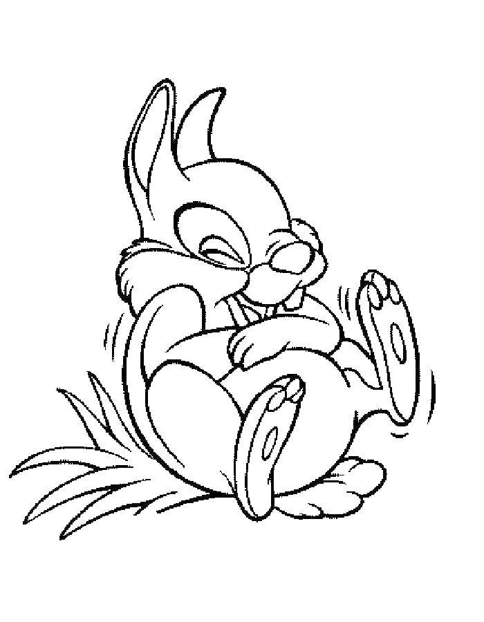 Розмальовки  Зайчик сміється. Завантажити розмальовку тварини, зайці, кролики.  Роздрукувати ,Тварини,