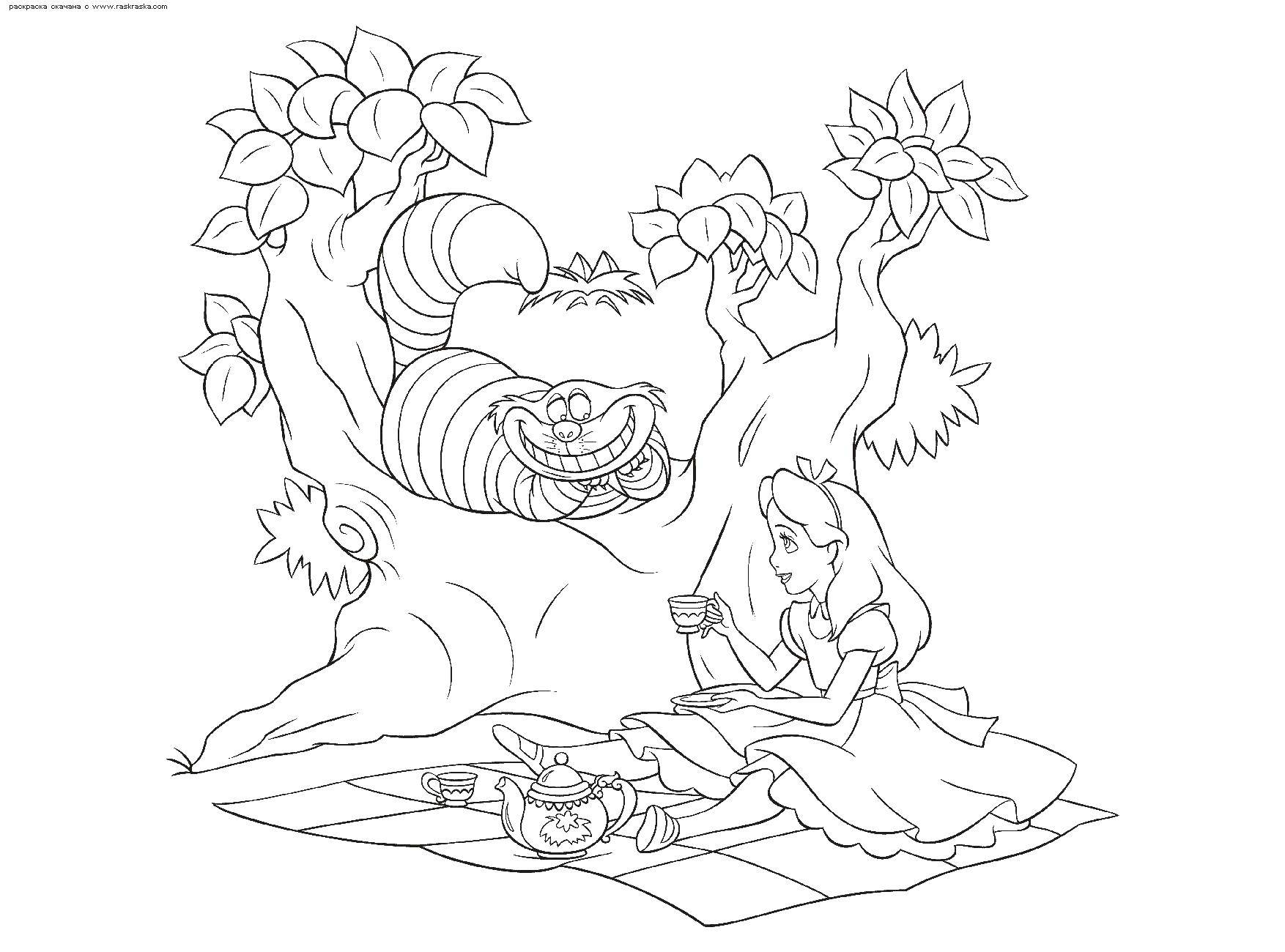 Coloring Alice and the Cheshire cat at the picnic. Category coloring. Tags:  Alice , Wonderland, Cheshire Cat.