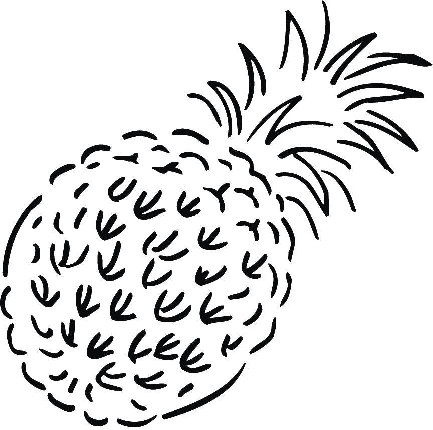 Coloring Pineapple. Category fruits. Tags:  fruit, tropical, pineapple.
