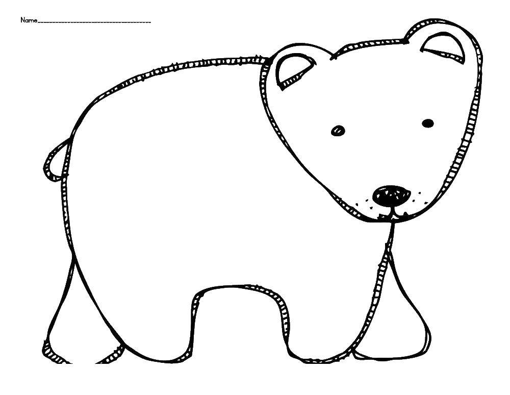 Название: Раскраска Белый полярный медведь. Категория: медведь. Теги: белый, медведь.
