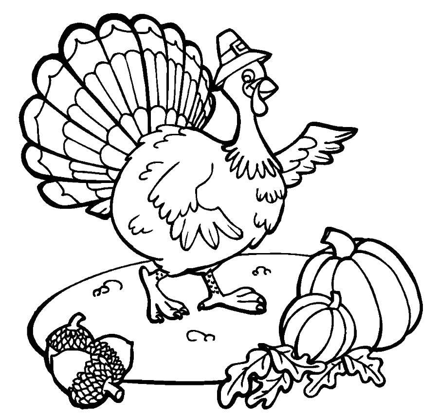 Coloring Turkey with pumpkin. Category day blagodarenie. Tags:  turkeys, poultry.