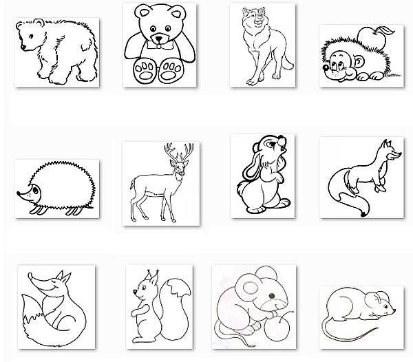 Название: Раскраска Картинки с животными. Категория: домашние животные. Теги: катринка.