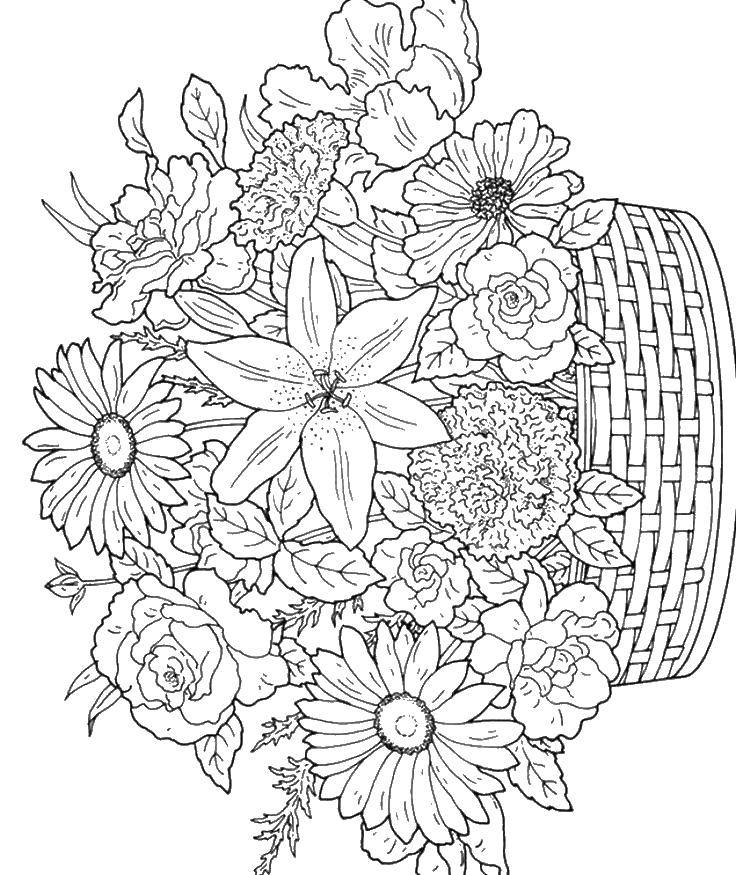 Название: Раскраска Корзина с разнообразными цветами. Категория: Цветы. Теги: цветы, корзина, цветочки.
