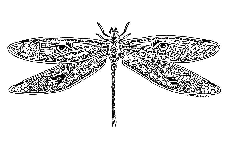 Coloring Beautiful dragonfly patterns. Category patterns. Tags:  Designs, dragonfly.