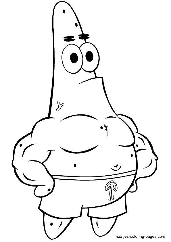Coloring Muscular Patrick. Category Spongebob. Tags:  the spongebob, Patrick, muscles.