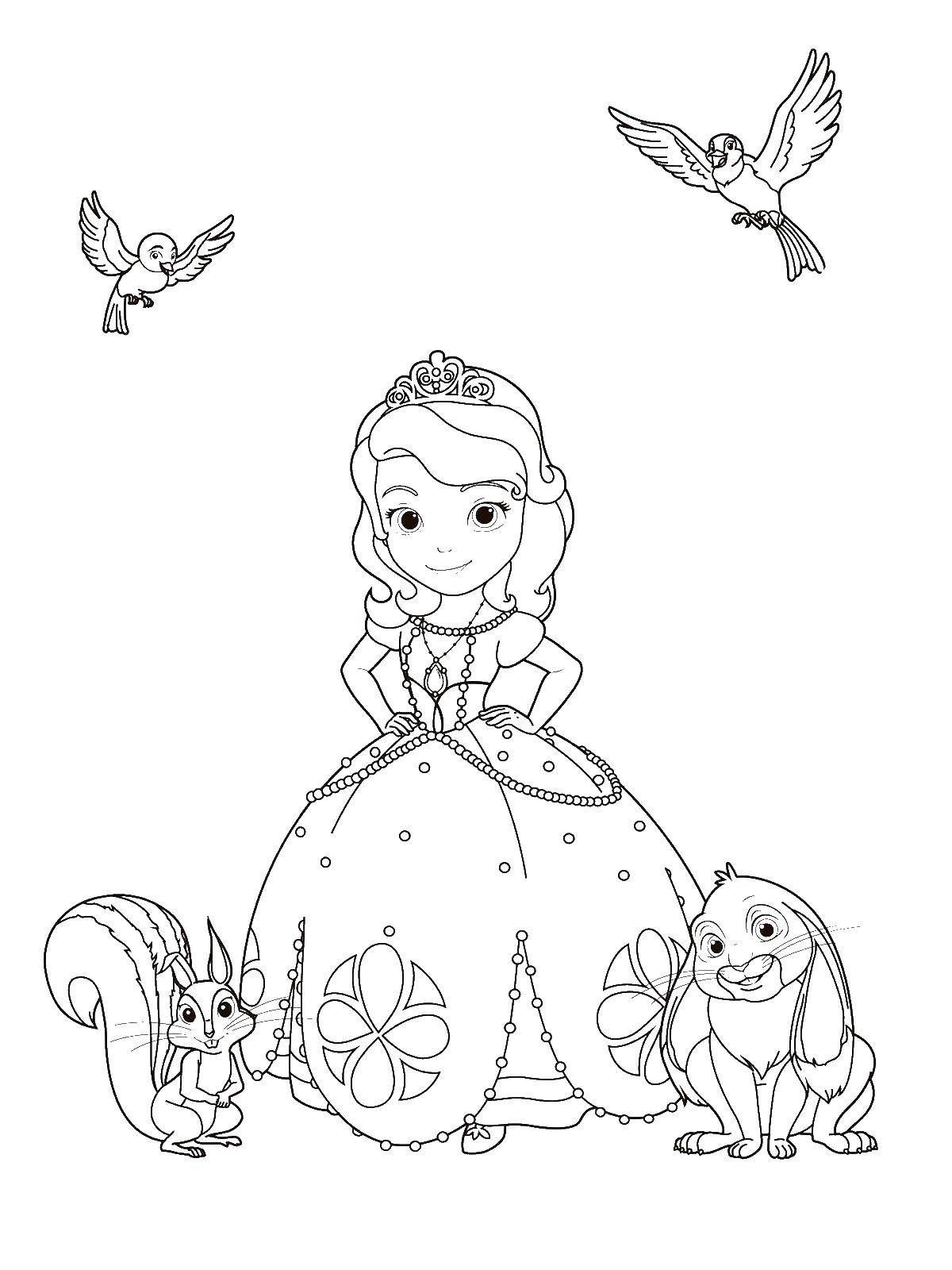 Coloring Princess Sofia and her friends. Category Princess Sophia. Tags:  Princess Sofia, squirrel, Nut.