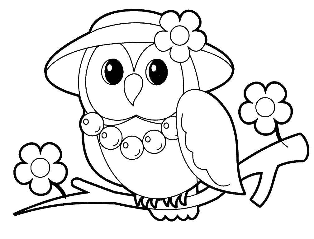 Coloring Owl with hat and beads. Category birds. Tags:  birds, owl.