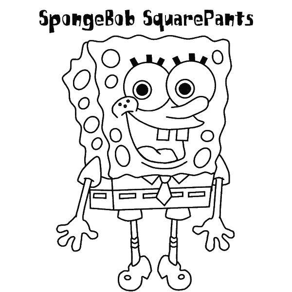 Coloring The spongebob squerpants. Category Spongebob. Tags:  spongebob, Squarepants, spongebob, cartoons.