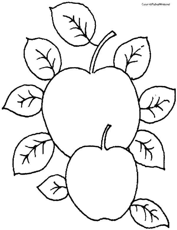 Название: Раскраска Яблоки в листьях. Категория: фрукты. Теги: фрукты, яблоко.