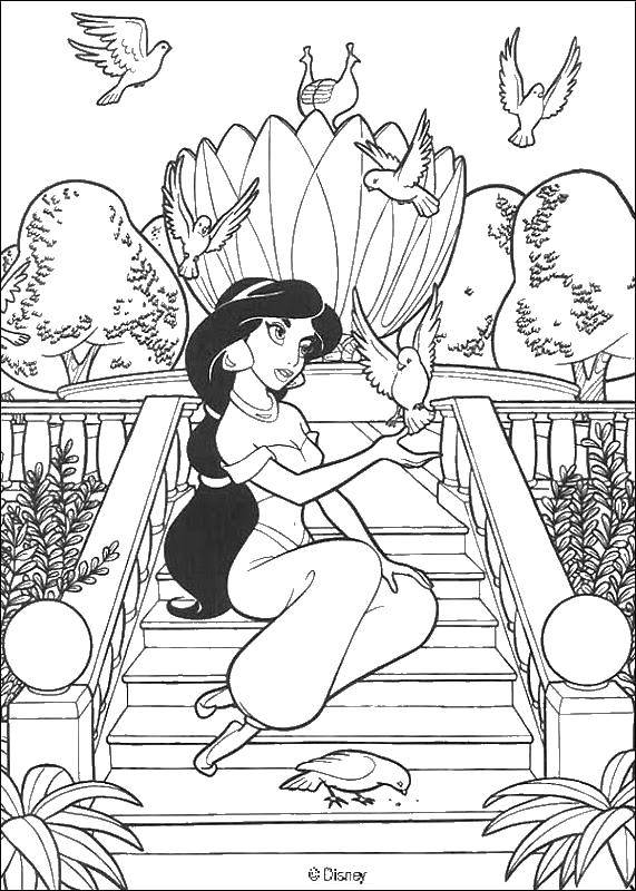 Coloring Jasmine and birds. Category Princess. Tags:  Princess, Jasmine, Disney, for girls.