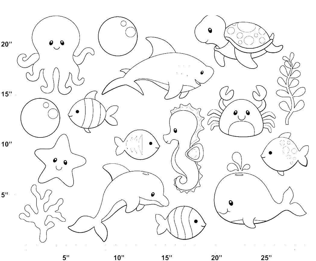 Coloring Animals sea ocean. Category marine. Tags:  Sea world.