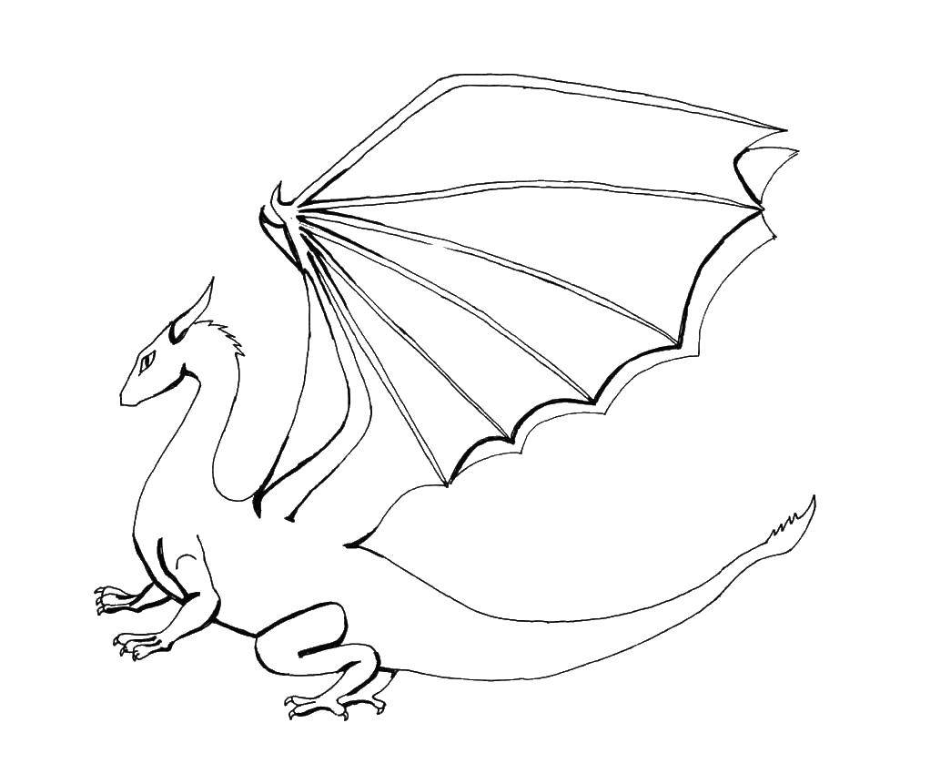 Розмальовки  Дракоша з великими крилами. Завантажити розмальовку Дракони.  Роздрукувати ,Дракони,
