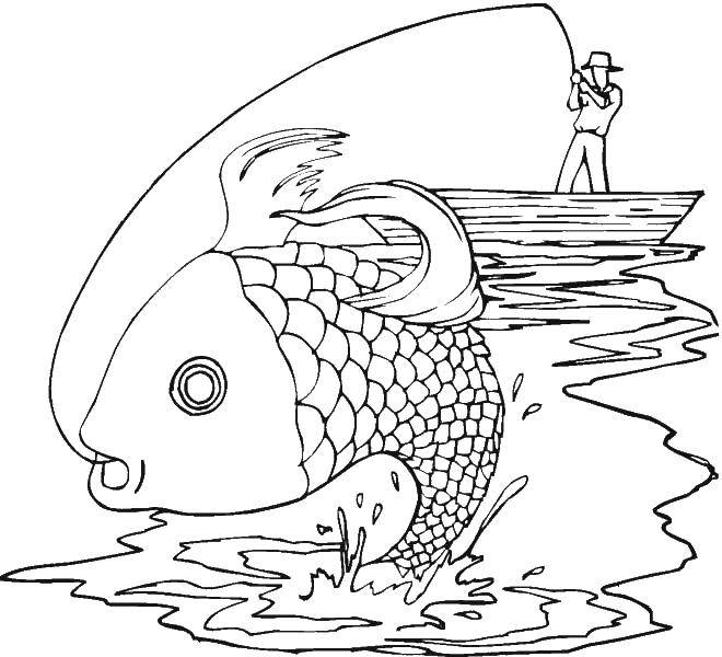 Розмальовки  Чоловік упіймав рибу. Завантажити розмальовку риба, човен.  Роздрукувати ,риби,