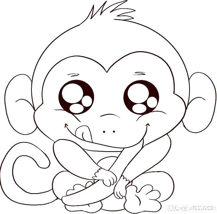 Розмальовки  Мавпочка їсть банан. Завантажити розмальовку тварини, мавпа, мавпа, банани.  Роздрукувати ,Тварини,