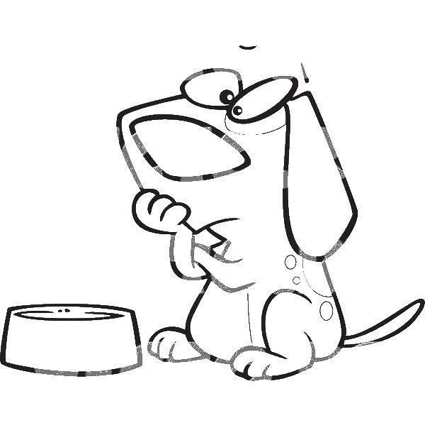 Опис: розмальовки  Собака з кормом. Категорія: Посуд. Теги:  собака, корм.
