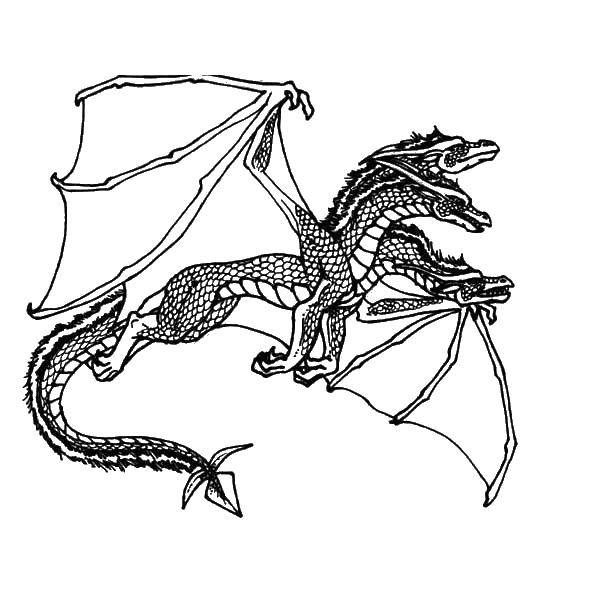 Розмальовки  Триголовий дракон. Завантажити розмальовку дракони, дракон, крила.  Роздрукувати ,Дракони,