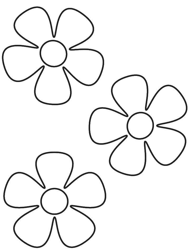 Розмальовки  Три квіточки.. Завантажити розмальовку квіти, бутони, рослини.  Роздрукувати ,Квіти,