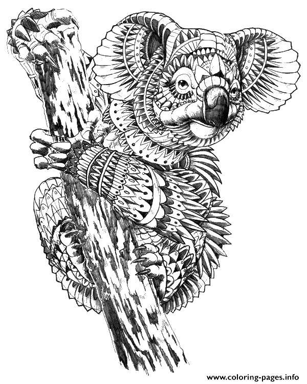 Розмальовки  Візерунчастий коала. Завантажити розмальовку візерунки, тварини, коала, мишко.  Роздрукувати ,візерунки,