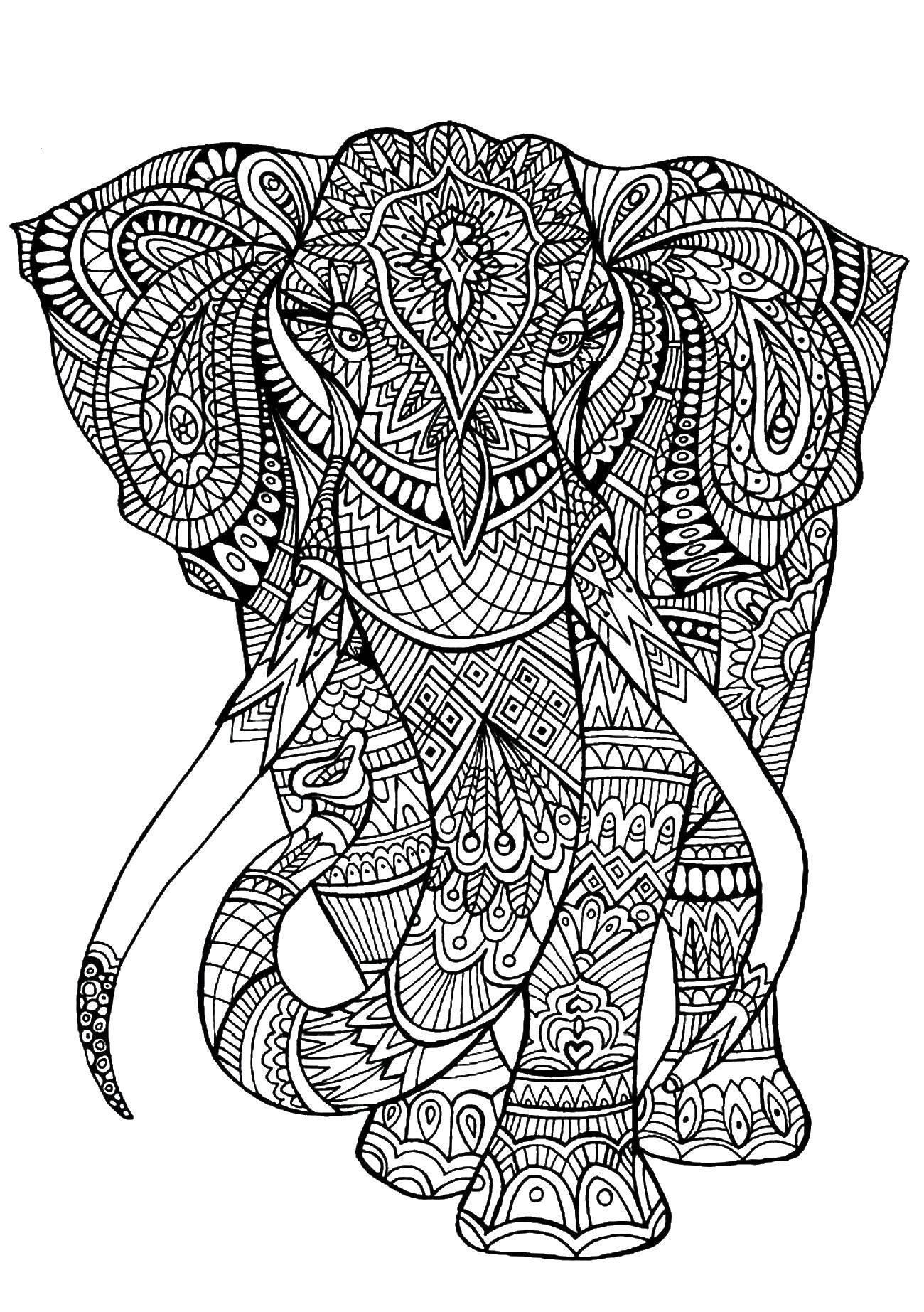 Розмальовки  Візерунковий слон. Завантажити розмальовку візерунки, тварини, слони, слон.  Роздрукувати ,візерунки,