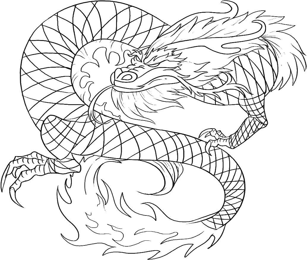 Розмальовки  Змієподібний дракон. Завантажити розмальовку дракони, дракон, змій.  Роздрукувати ,Дракони,