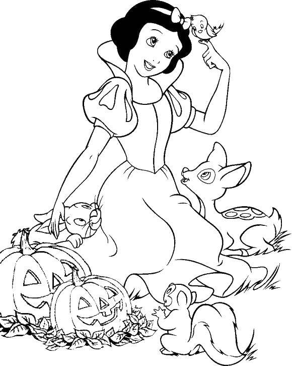Coloring Snow white with friends animals. Category Disney cartoons. Tags:  Disney, Snow White.