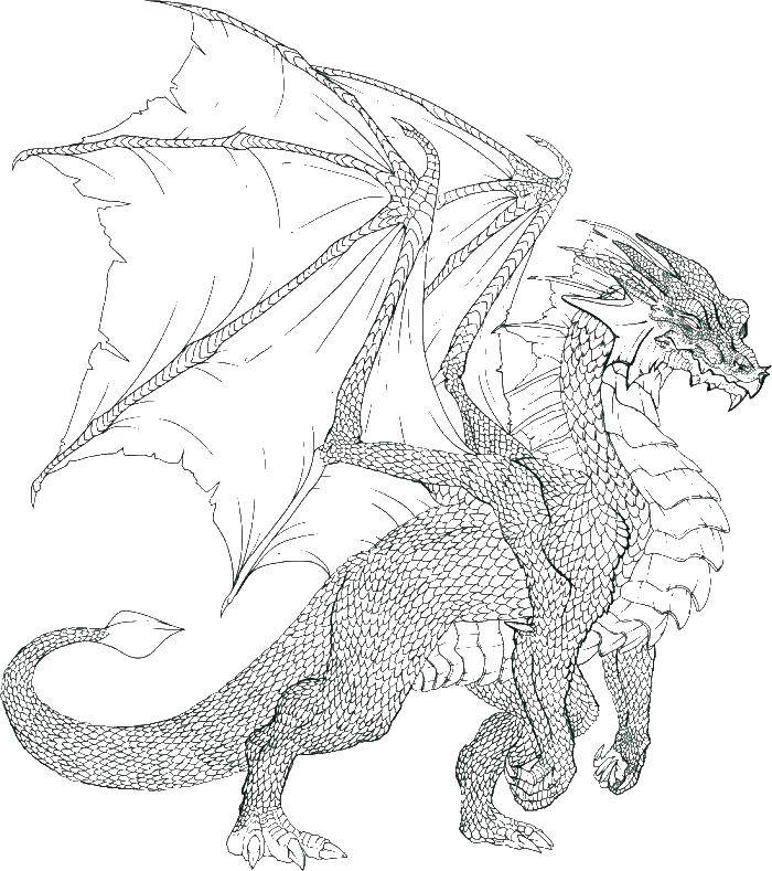 Coloring Scaly dragon. Category Dragons. Tags:  dragons, wings.