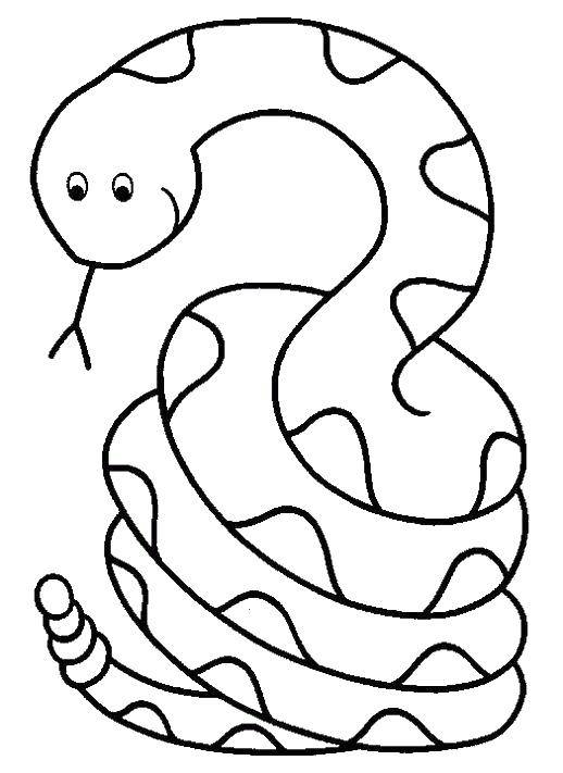 Название: Раскраска Длинная змея. Категория: Животные. Теги: животные, змеи.