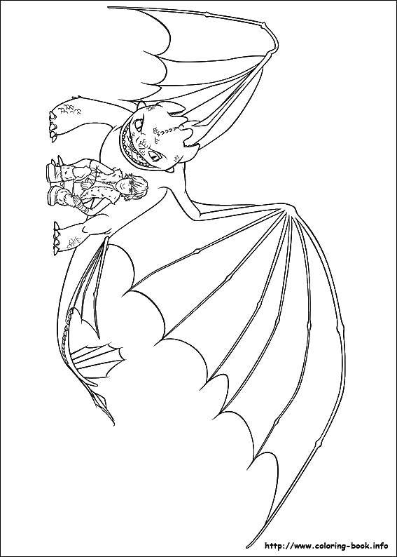 Coloring Dragn fury. Category Dragons. Tags:  dragons, cartoons, Fury.