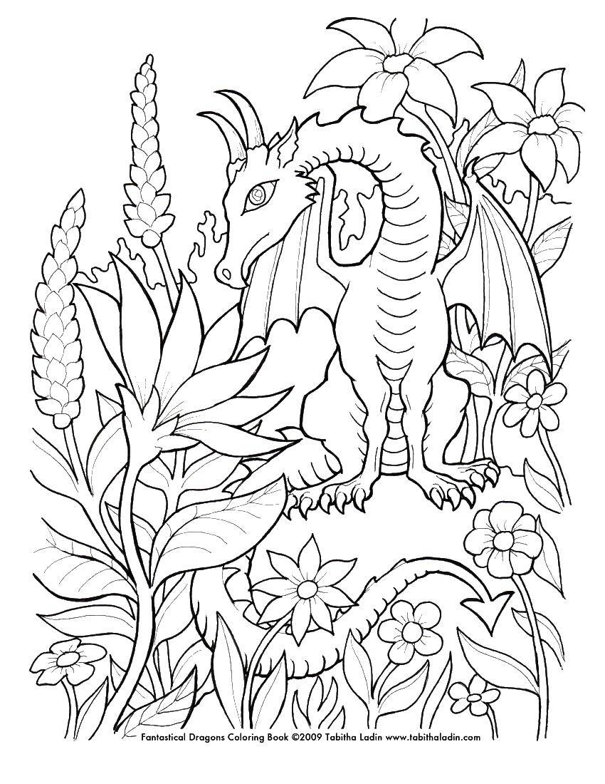 Coloring Dragon in colors. Category flowers. Tags:  flowers, forest, nature, dragon.