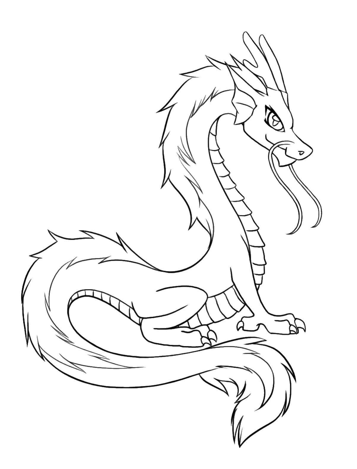 Coloring Dragon serpent. Category Dragons. Tags:  dragons, snakes.