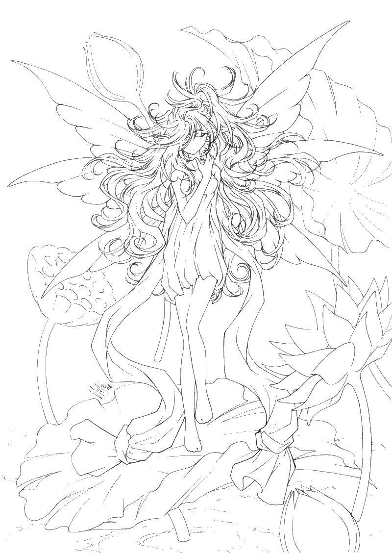 Coloring Fairy in the Lily. Category For teenagers. Tags:  fairy, flowers.