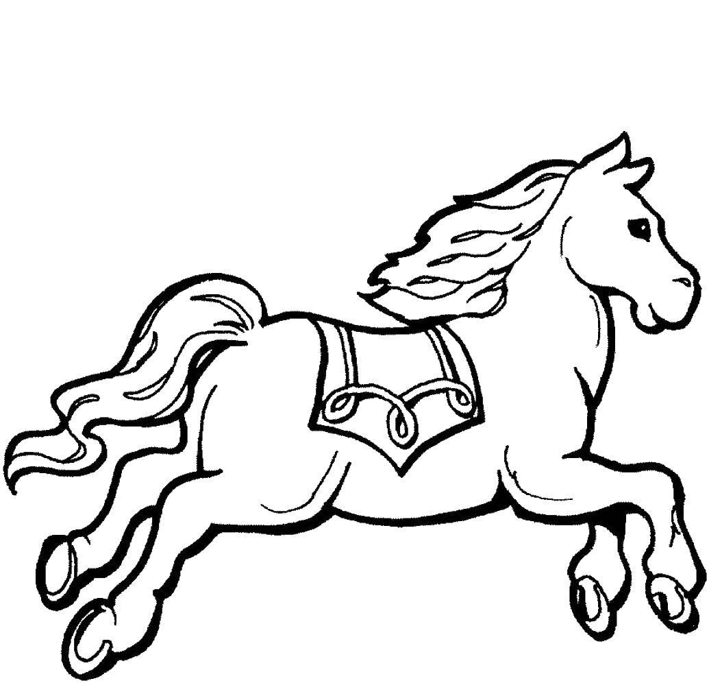 Название: Раскраска Конь с седлом. Категория: лошади. Теги: лошади, кони, седло.